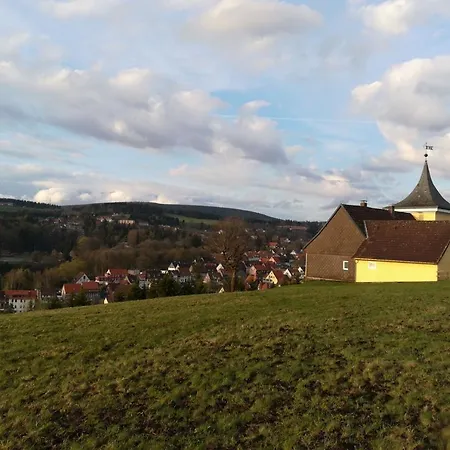 Pfoetchenurlaub Im Harz- Schoene Fuer 2-4 Personen Und Hund