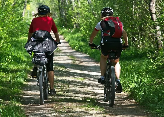 Pfoetchenurlaub Im Harz- Schoene Fuer 2-4 Personen Und Hund Appartamento