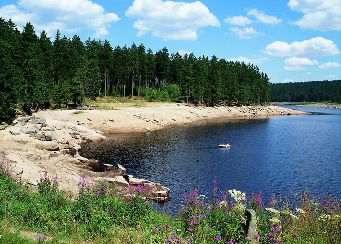 Pfoetchenurlaub Im Harz- Schoene Fuer 2-4 Personen Und Hund Appartamento *